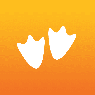 GooseChase logo